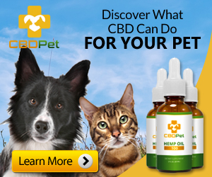 CBD for Pets